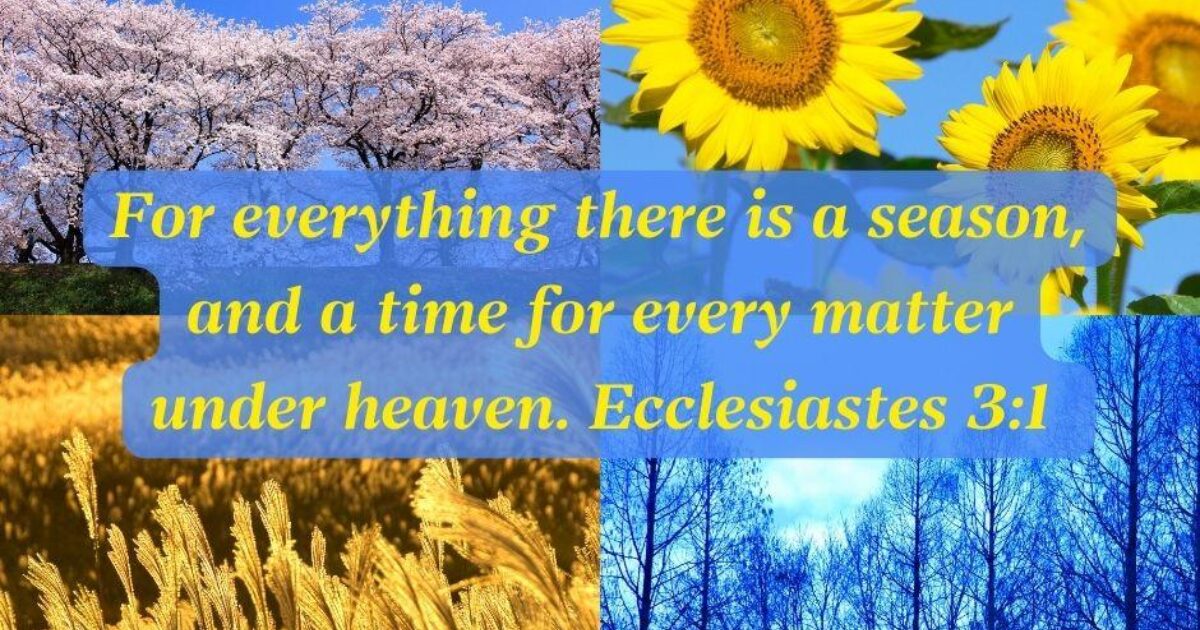 Worship Anew Seasons Don T Last Forever