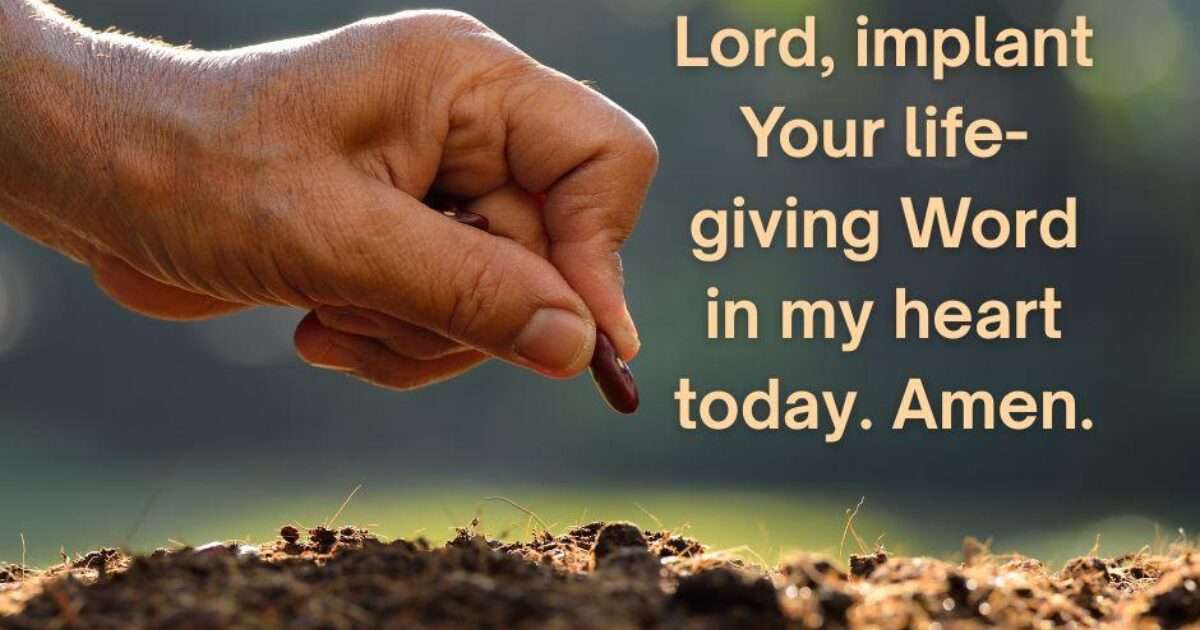 Worship Anew | Seeds for the Heart