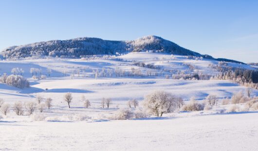 Adobe Stock 178713944