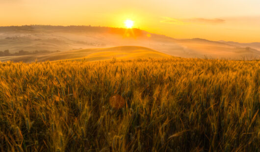 Getting through Grief 11 25