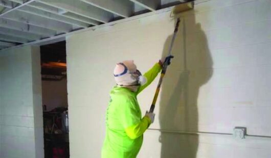 Jan 25 Basement Painting