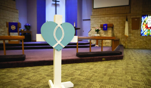 LCC Cross 5 26