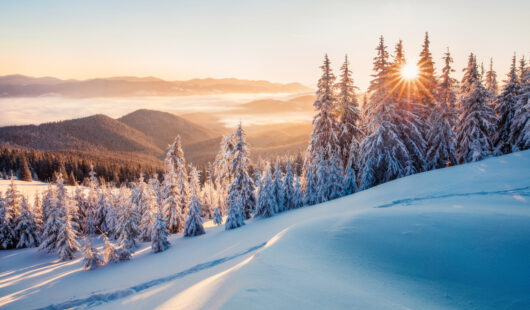 Repositioning Jan 26