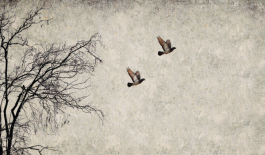 Screenshot 2024 10 29 at 1 29 53 PM