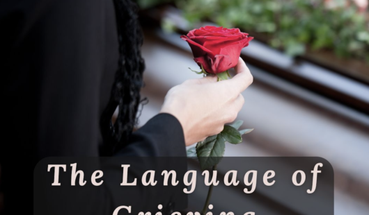 Screenshot 2024 11 08 at 9 47 35 AM