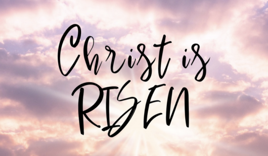 Screenshot 2025 04 30 at 2 08 49 PM