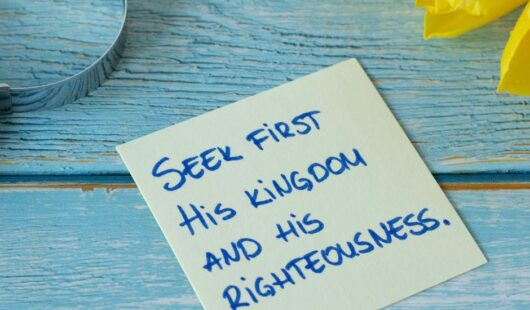 Seek first article Sept 2024