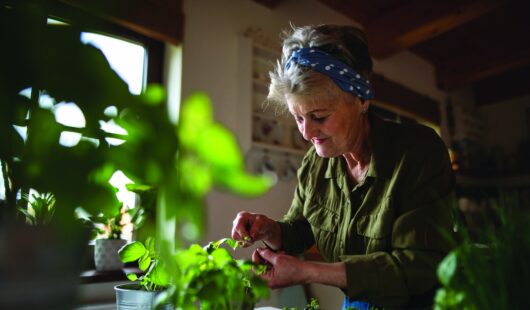 Solo aging June 2024