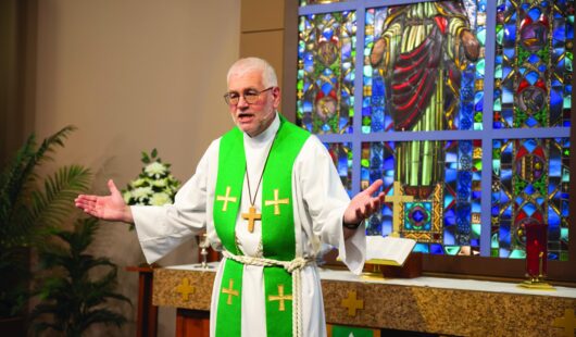 Zeckzer newtoprogram May 2025