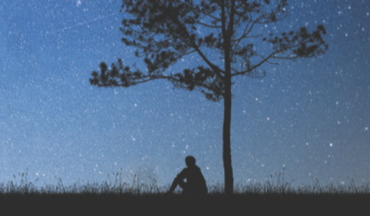 Common grief reactions Nov 24