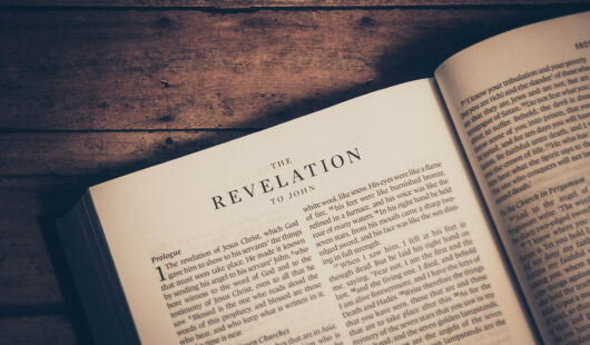 The saints in heaven 11 25