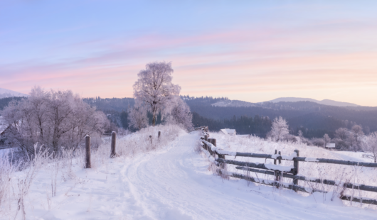 Waiting in recovery 1 26