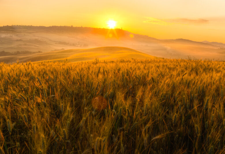 Getting through Grief 11 25