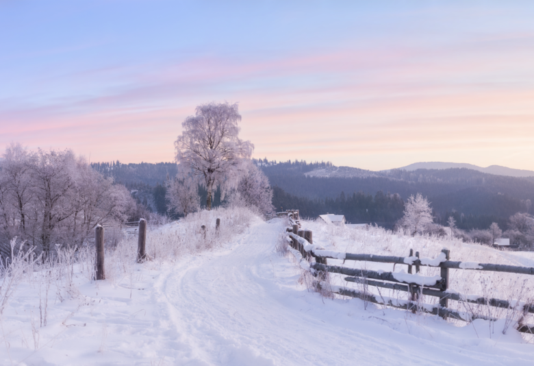 Waiting in recovery 1 26