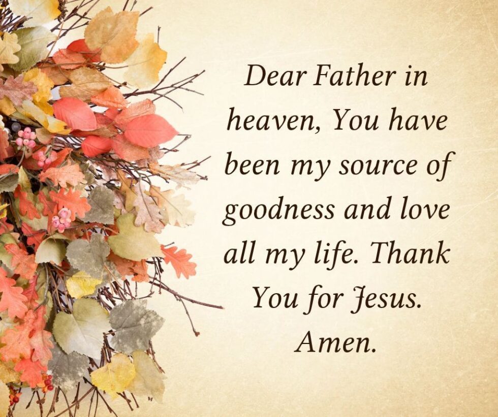 10 22 26 HFL