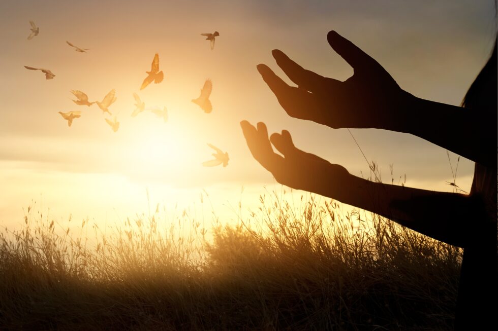 Freed to Forgive 9 25