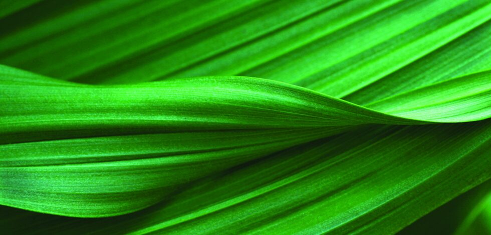 Jan 25 Intimacy v Isolation