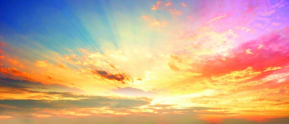 Maier article Suffering March 25