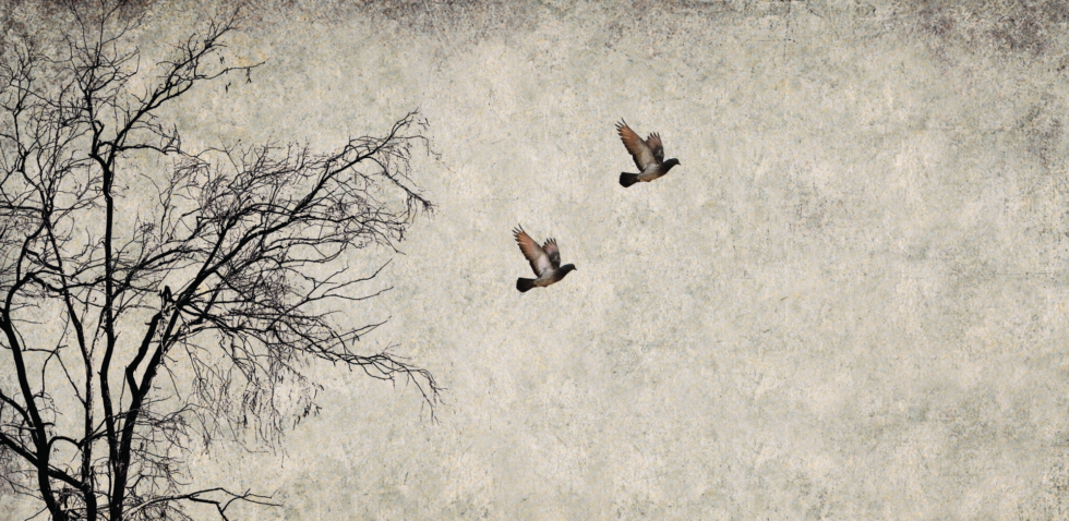 Screenshot 2024 10 29 at 1 29 53 PM