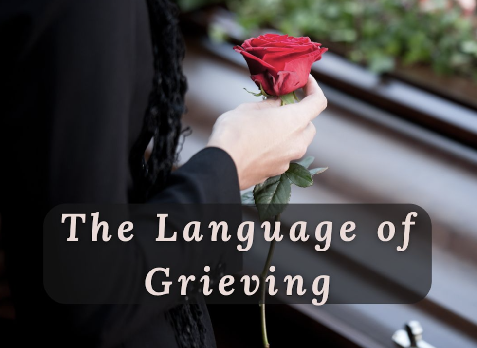 Screenshot 2024 11 08 at 9 47 35 AM