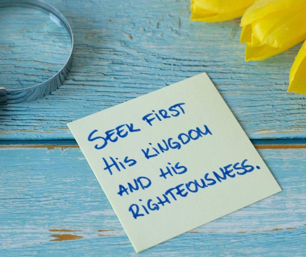 Seek first article Sept 2024