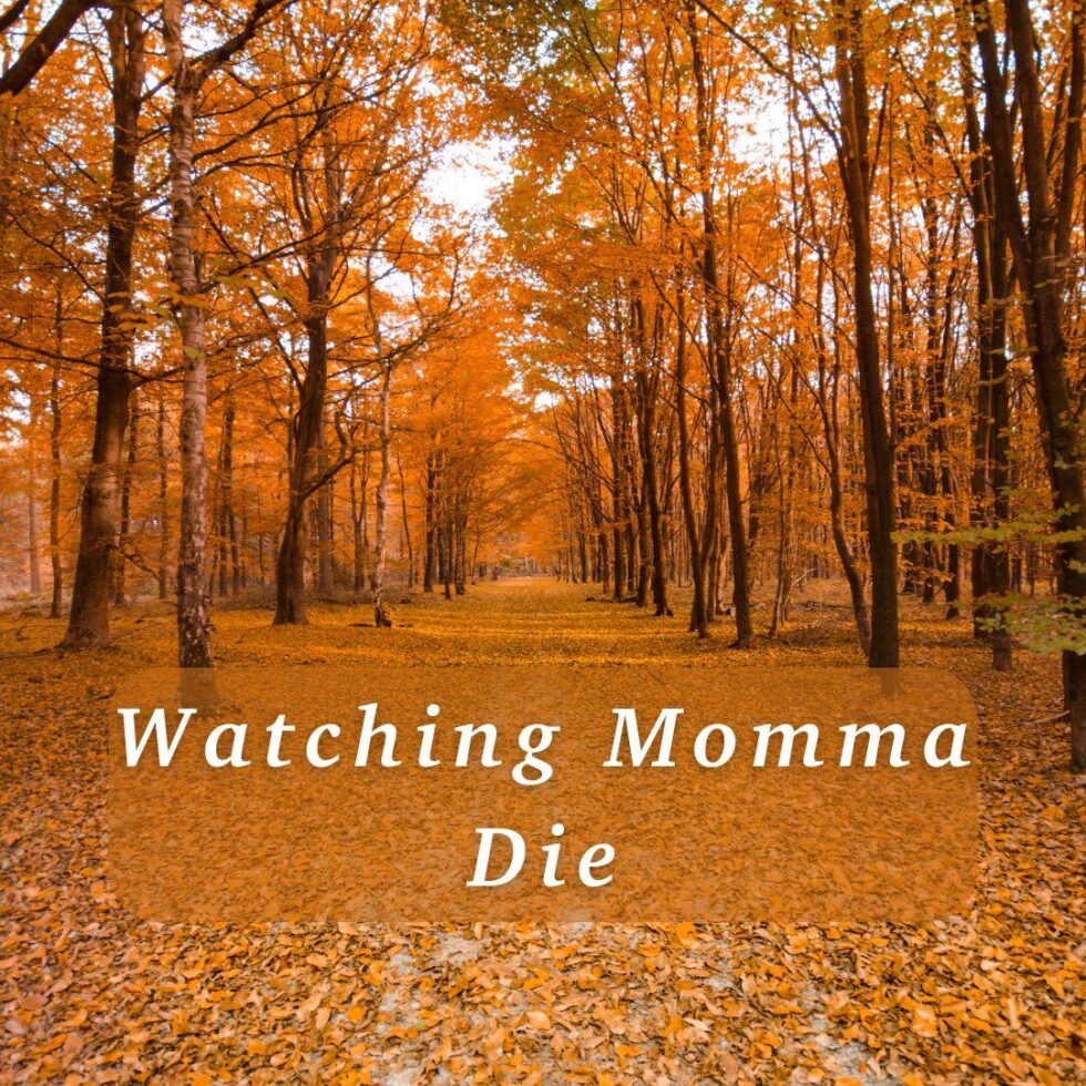 Watching Momma Die article