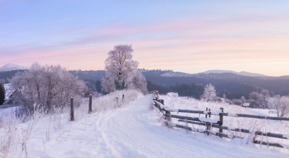 Waiting in recovery 1 26